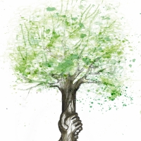 arbre